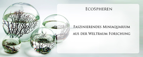 EcoSphere Aquarium